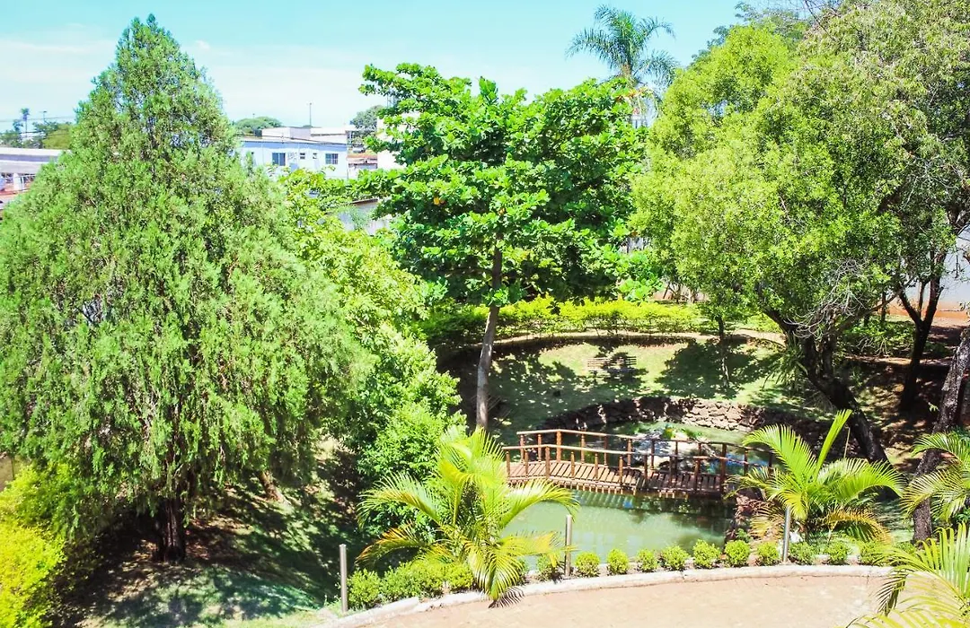 Stella Solaris Cataratas-1