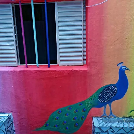Sao Paulo Wanderlust G Hostel-2
