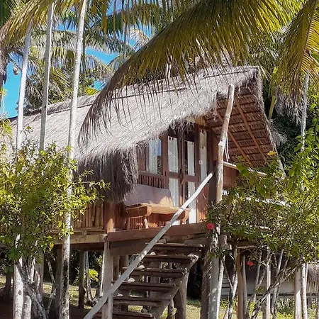 Art Jungle Eco Lodge-2