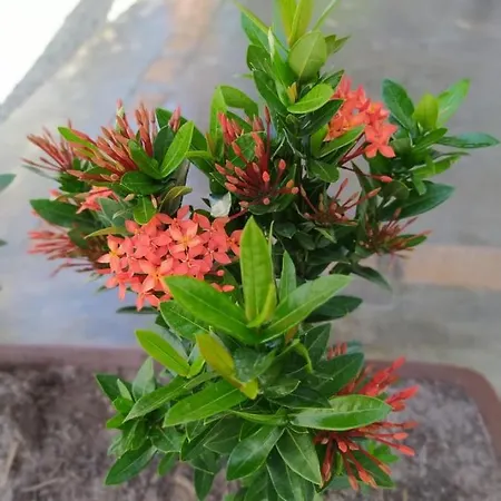 Recanto Do Meu Bem-2