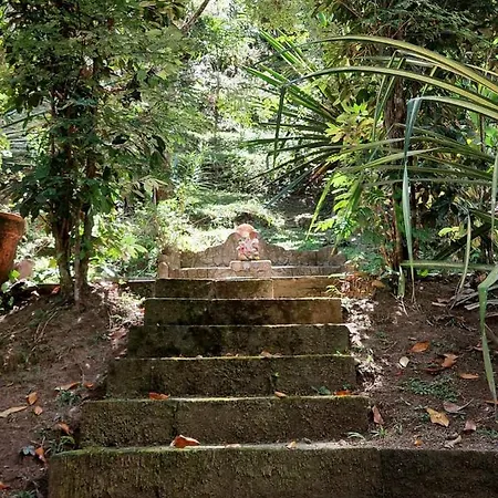 Monte Carmelo Inn Sana-2