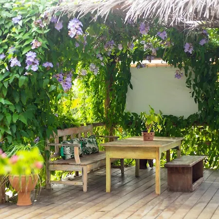 Pura Vida Hotel E Spa-3