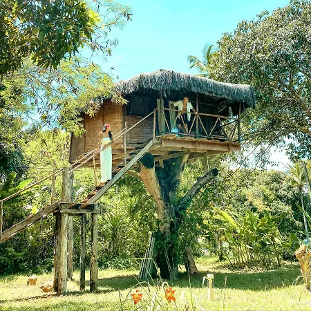 Art Jungle Eco Lodge-3