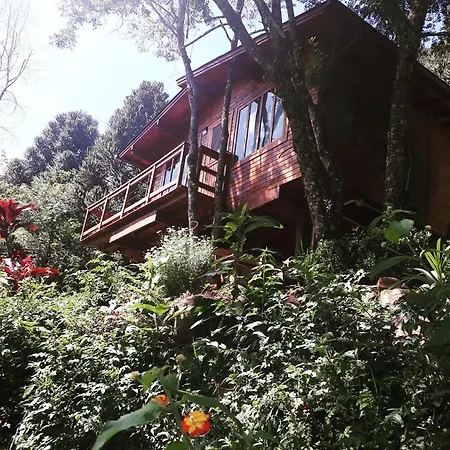 Eco Aldeia-2