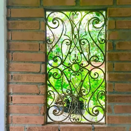 Para Ti Guesthouse-3