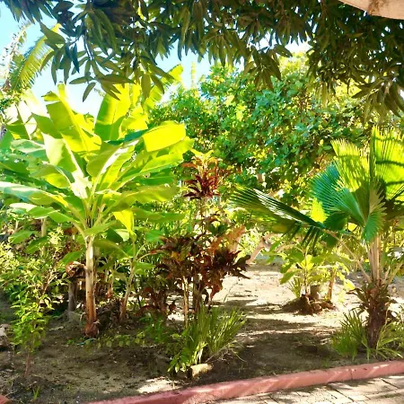 Branca Tropical Brasil Residencial- Taperapuan-3