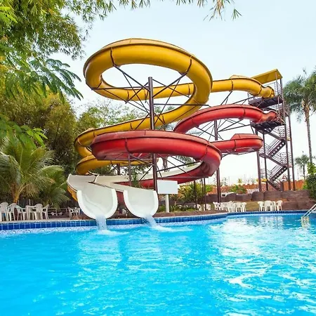 Golden Dolphin-3