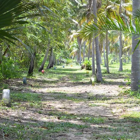 Eco Pousada Paraiso Dos Coqueirais-3