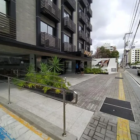 Suite 331 Arpoa-2