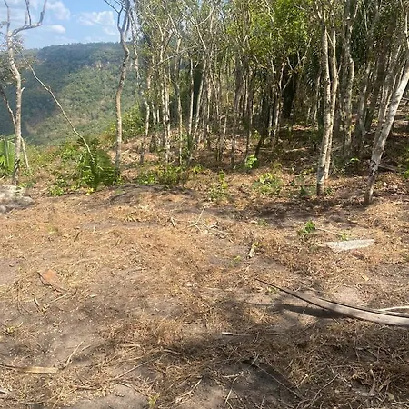 Valle dos ipês-3