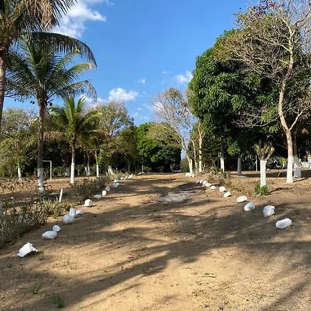Valle dos ipês-2