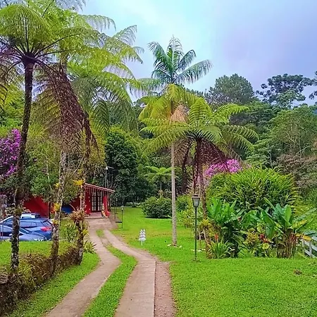 Pousada Bosque do Visconde-3