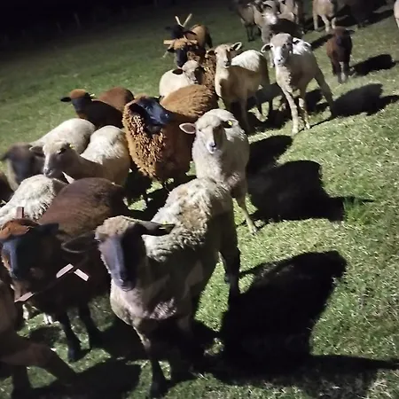Pousada do Pampa-3