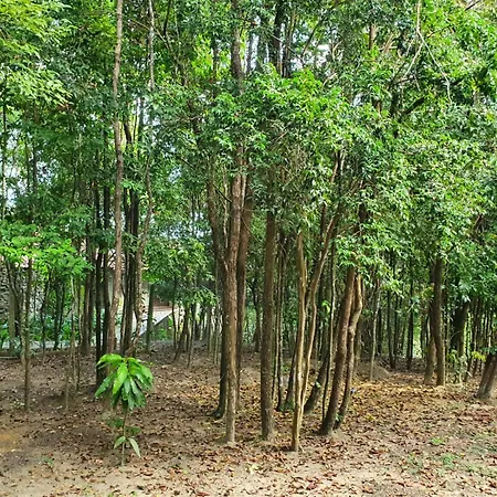 Bangalo Villas Do Pratagy-3