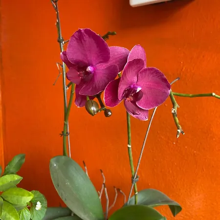 Pousada Fraga-3