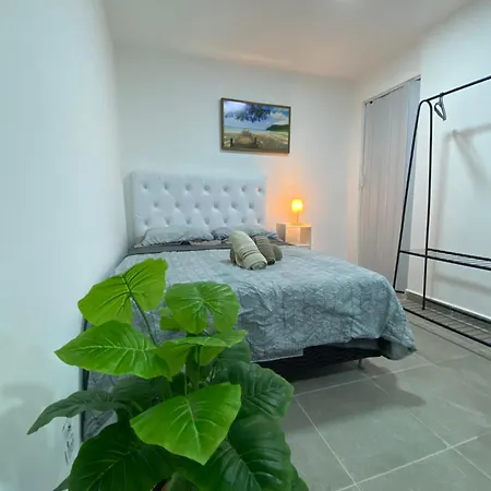 Suite Vargem Grande 2 - Praia, Cachoeira E Trilhas-2