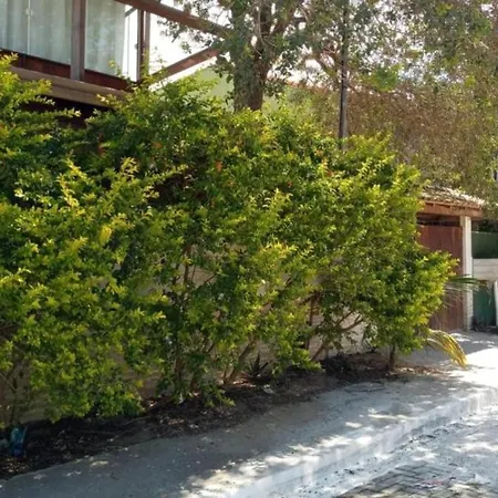 Paraiso De Buzios 01-2