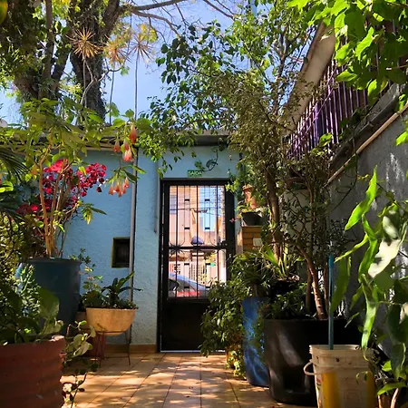 Micasa Hostel - Congonhas-2