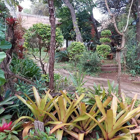 Pousada Bangalôs Cipó-2