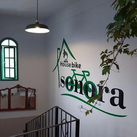 House Bike Sonora-2