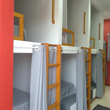 Hostel Flor de Ipê-3