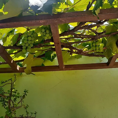 Hotel Vila Solar-3
