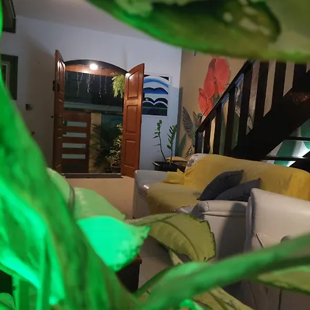 Encantos do mar-2