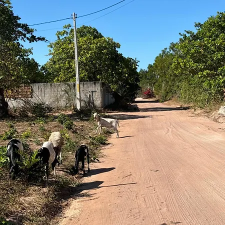 Casa da Lagoa-3