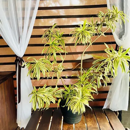 Suite De Ferias-3