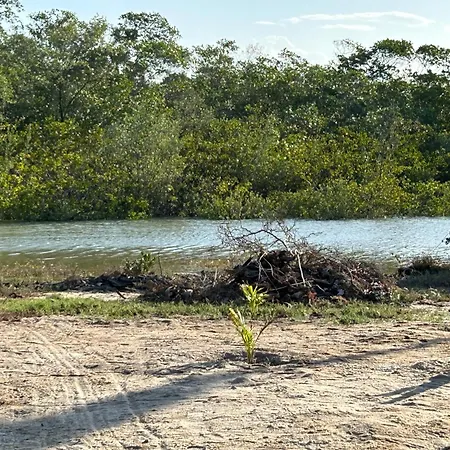 Mandacaru do Mangue Recanto Natural-2