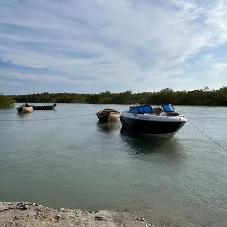 Mandacaru do Mangue Recanto Natural-3