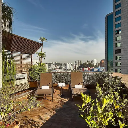 Sheraton Sao Paulo Wtc Hotel-3