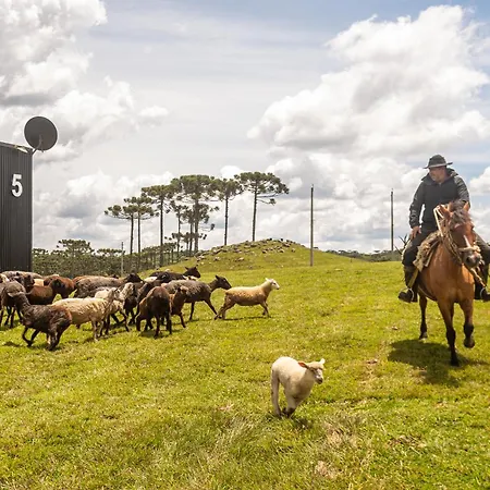 Brumas Casa de Campo - Cambará do Sul-2