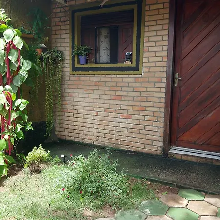 Pipa Mar e Vida-3