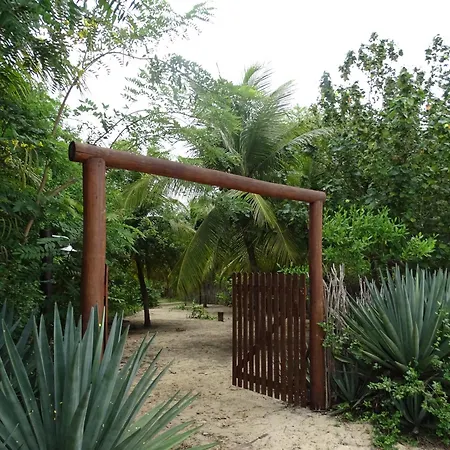 Jungle House-2