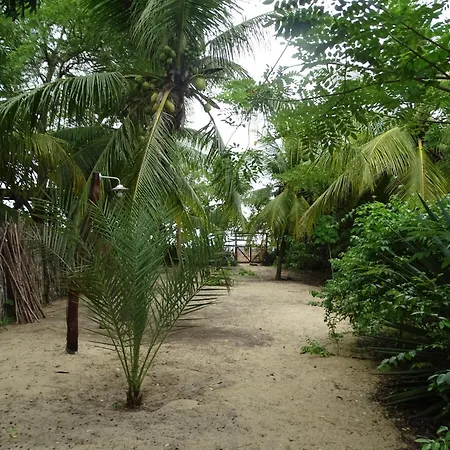 Jungle House-3