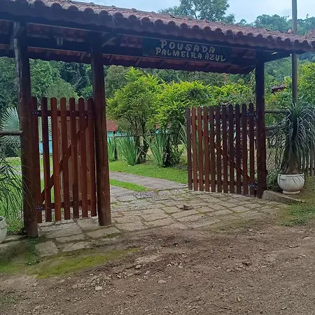 Palmeira Azul-2