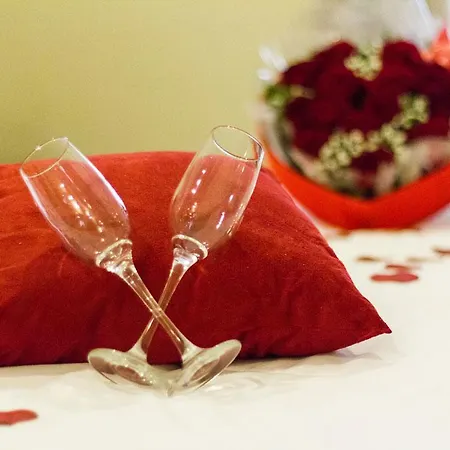 Palmleaf Grand Premium-3