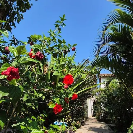 Pousada Vila Dendê-3