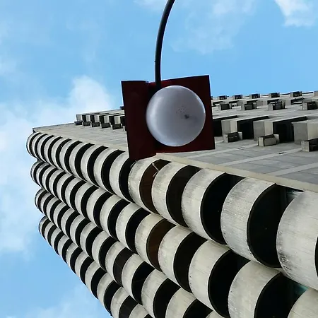 Palmleaf Slim-2