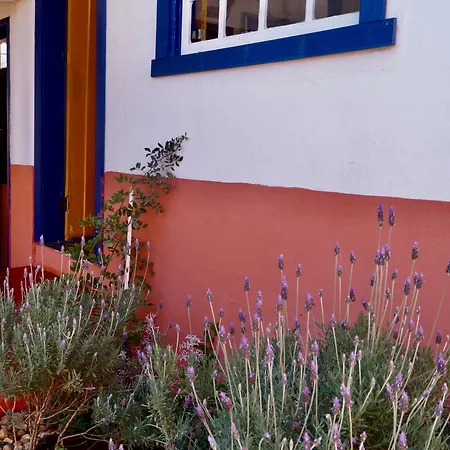 Casa De Maria-3