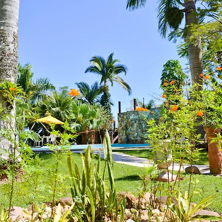 Encantos Da Ilha-2