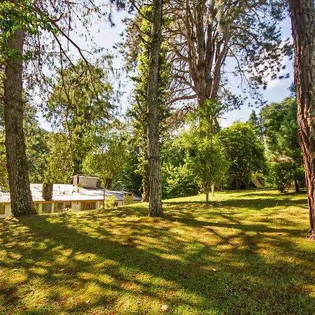 Villa Vintage Campos - Piscina e opções de suites com hidromassagem-3