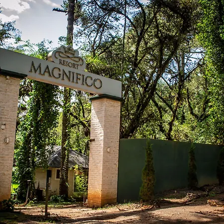 Resort Magnífico-3