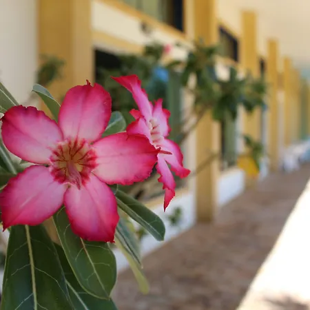 Grandes Lagos Park Hotel-2