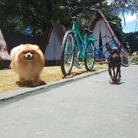 Tropical Casa Ubatuba-3