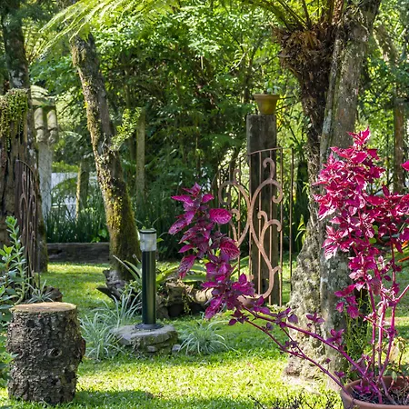 Pousada Vila 505-3