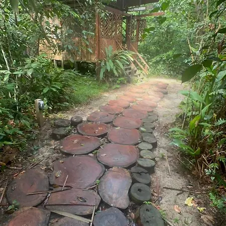 Refúgio Samauma-2
