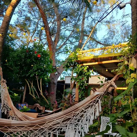 Casa de Mirtes-2