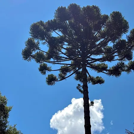 Empório reserva da serra com área lazer natureza e excelente localização-2